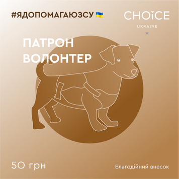 Патрон волонтер patron_volonter фото